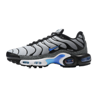Nike Air Max Plus Kiss My Airs Metallic Silver FD9755-001