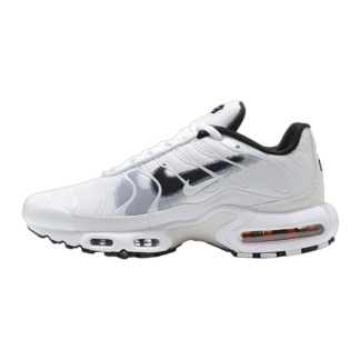 Nike Air Max Plus Spray Paint Swoosh FD0658-100