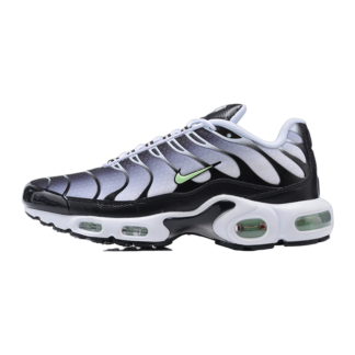 Nike Air Max Plus White Black Mint Green DH4776-100
